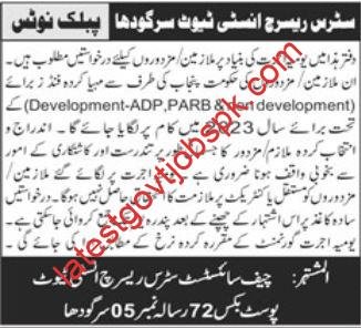 Sargodha Labor Jobs 2023 at Citrus Research Institute