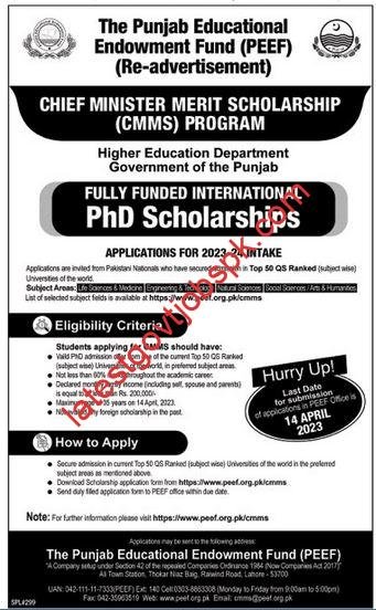 Fresh Jobs In Punjab Educational Endowment 2023