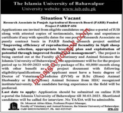 Latest Job openings at Islamia University of Bahawalpur