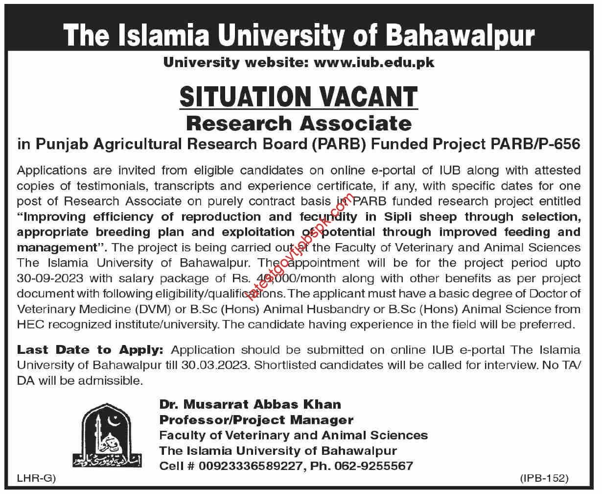 Latest Job Opportunities at The Islamia University of Bahawalpur