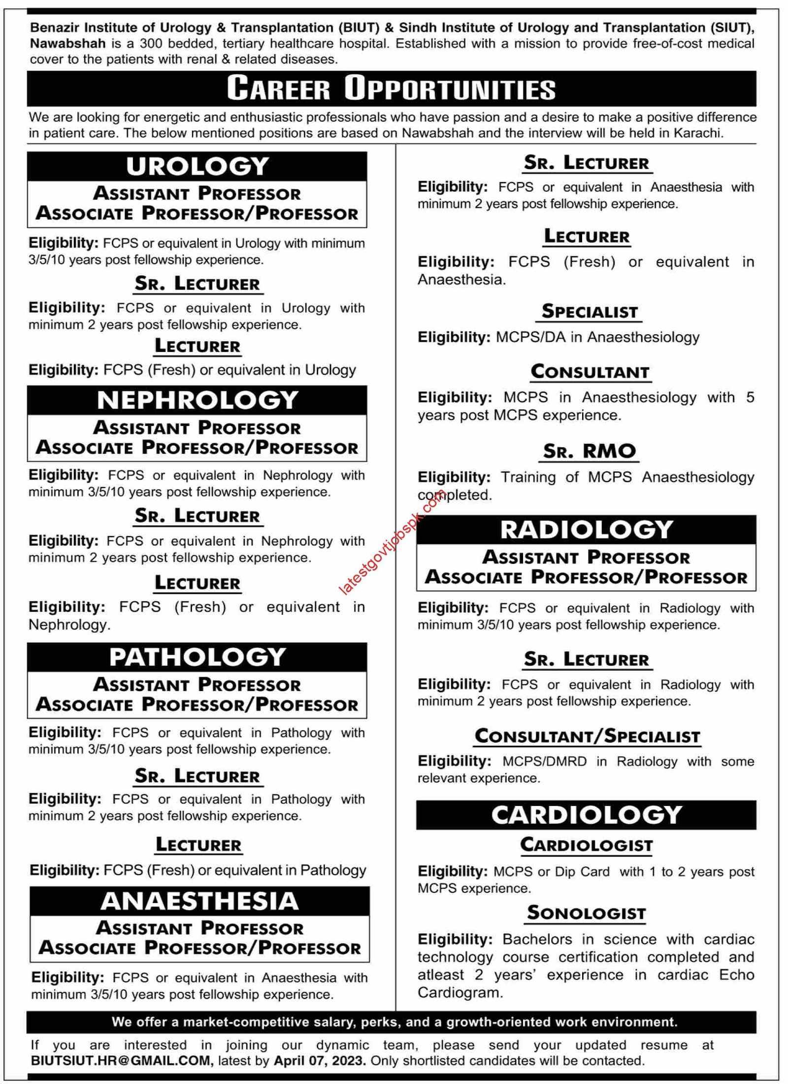 New Jobs at BIUTSIUT Nawabshah 2023