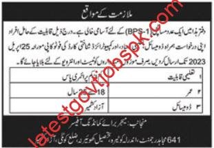 Fresh Job Openings in the 641 Mujahid Regiment Pakistan Army 2023