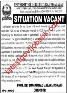 Latest Job Openings at UAF Faisalabad, University of Agriculture