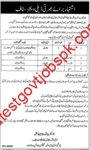 Apply for Daily Wages Staff Vacancies in Livestock & Dairy Development, Punjab