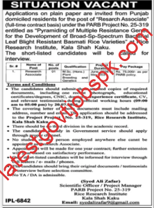 Apply For Vacancy at Rice Research Institute, Kala Shah Kaku