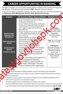 jobs in Bank of Punjab