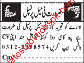 Job For Female Princel In